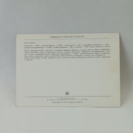 Картинка 2