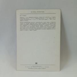 Картинка 2