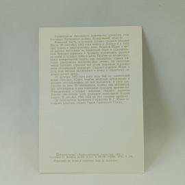 Картинка 2