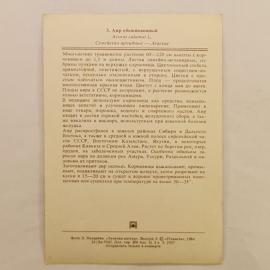Картинка 2