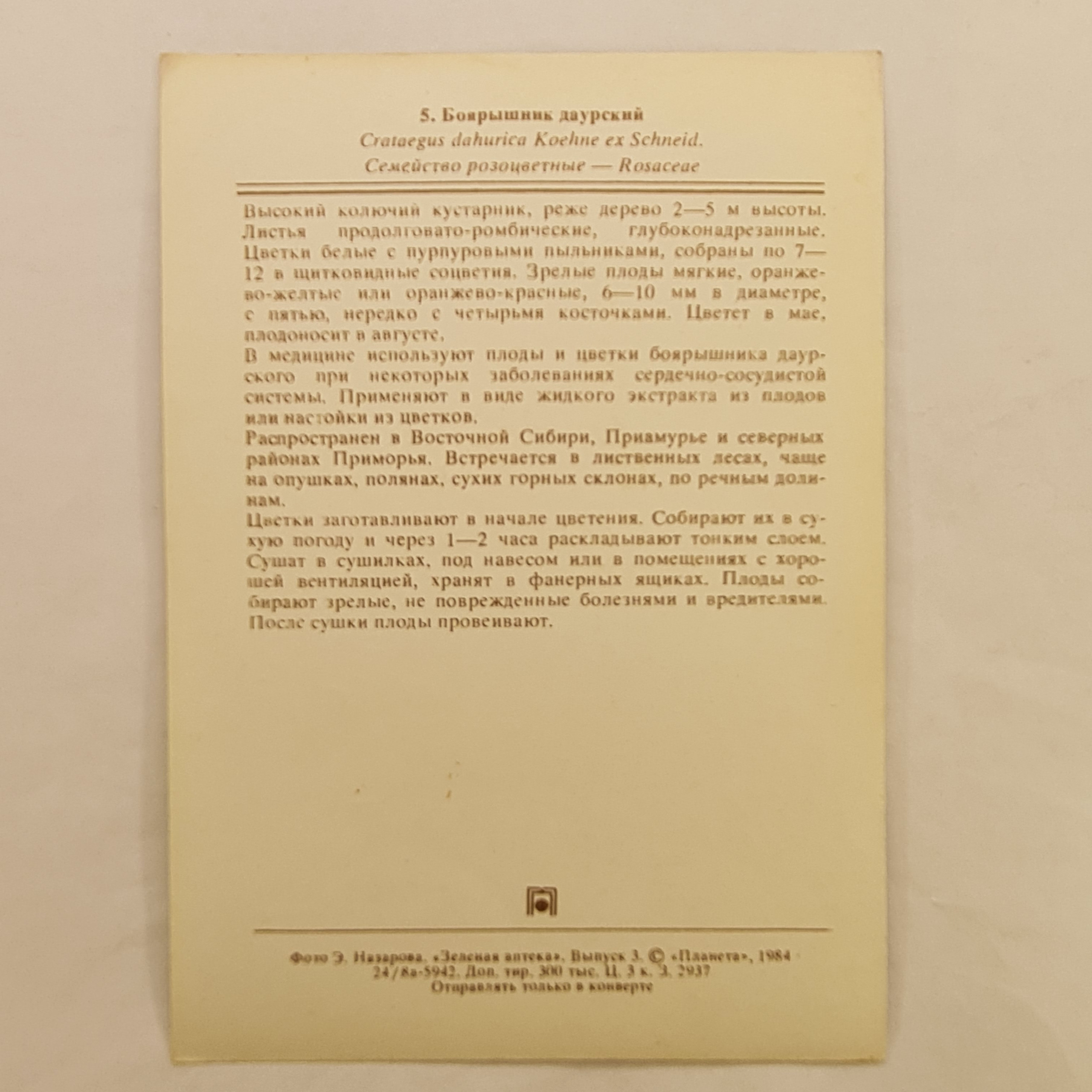 Картинка 2