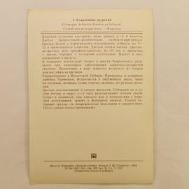 Картинка 2