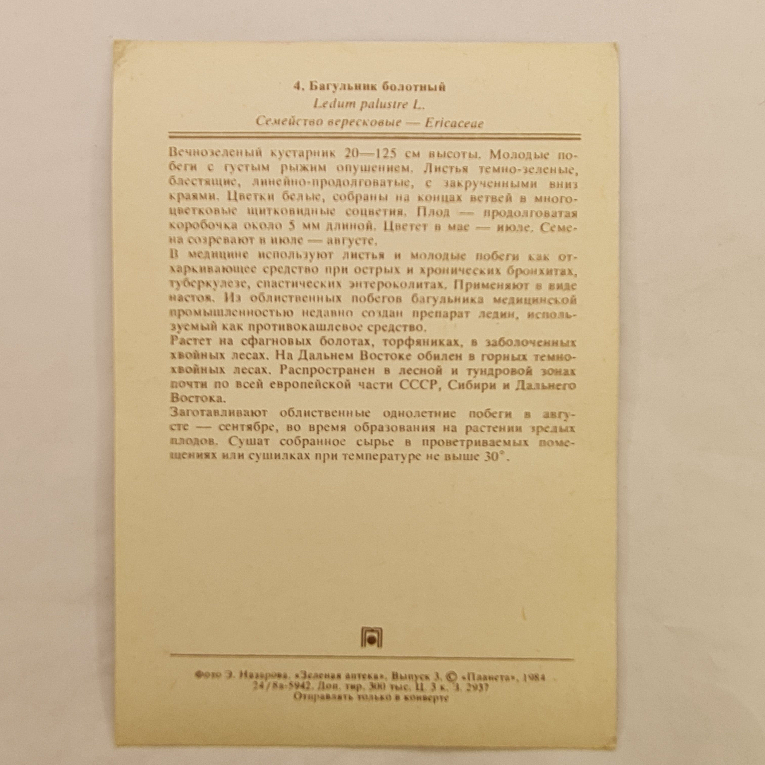 Картинка 2