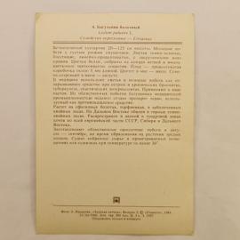 Картинка 2