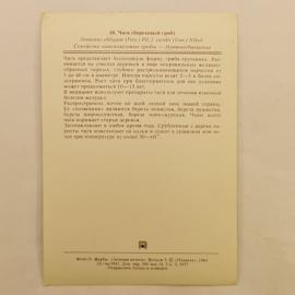 Картинка 2