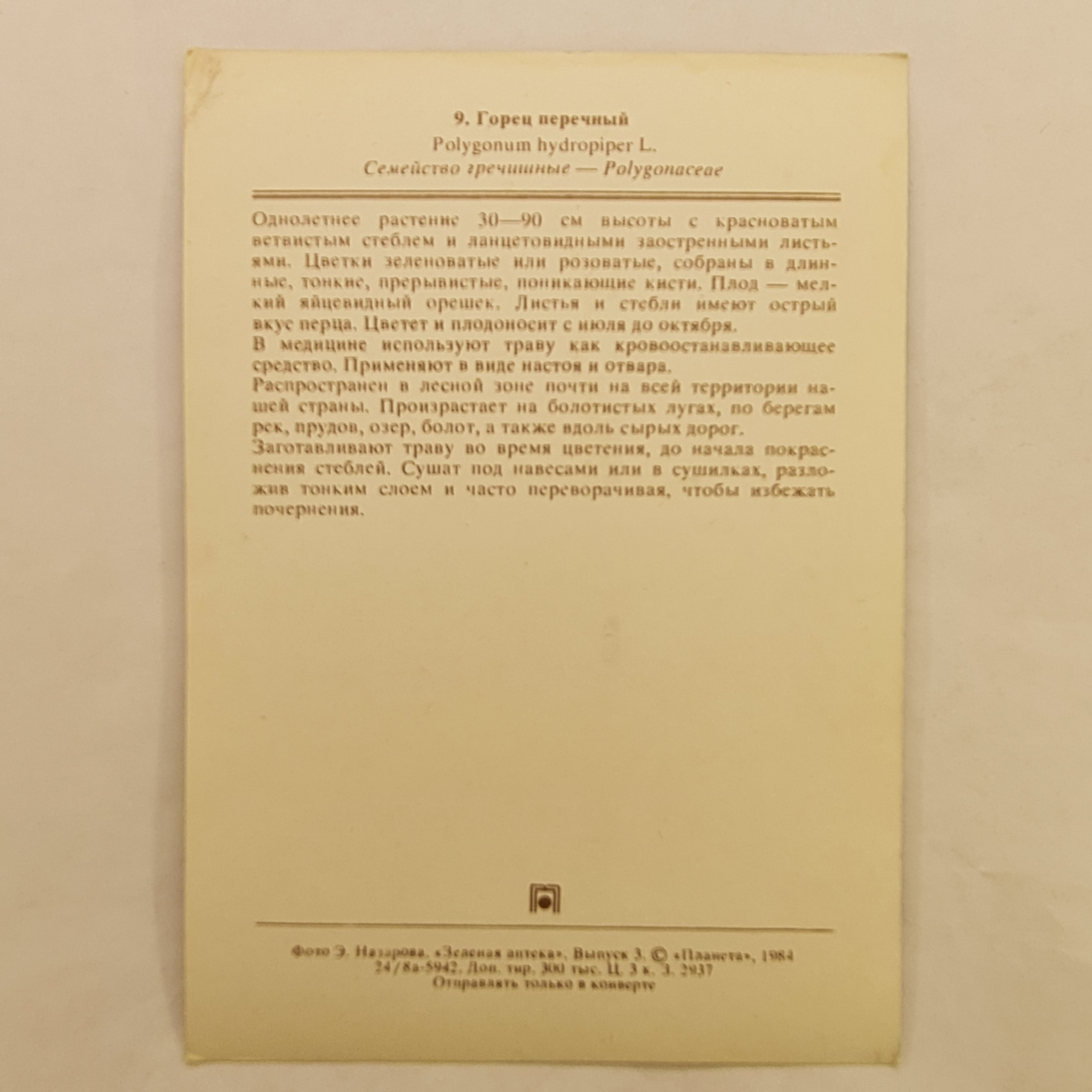 Картинка 2