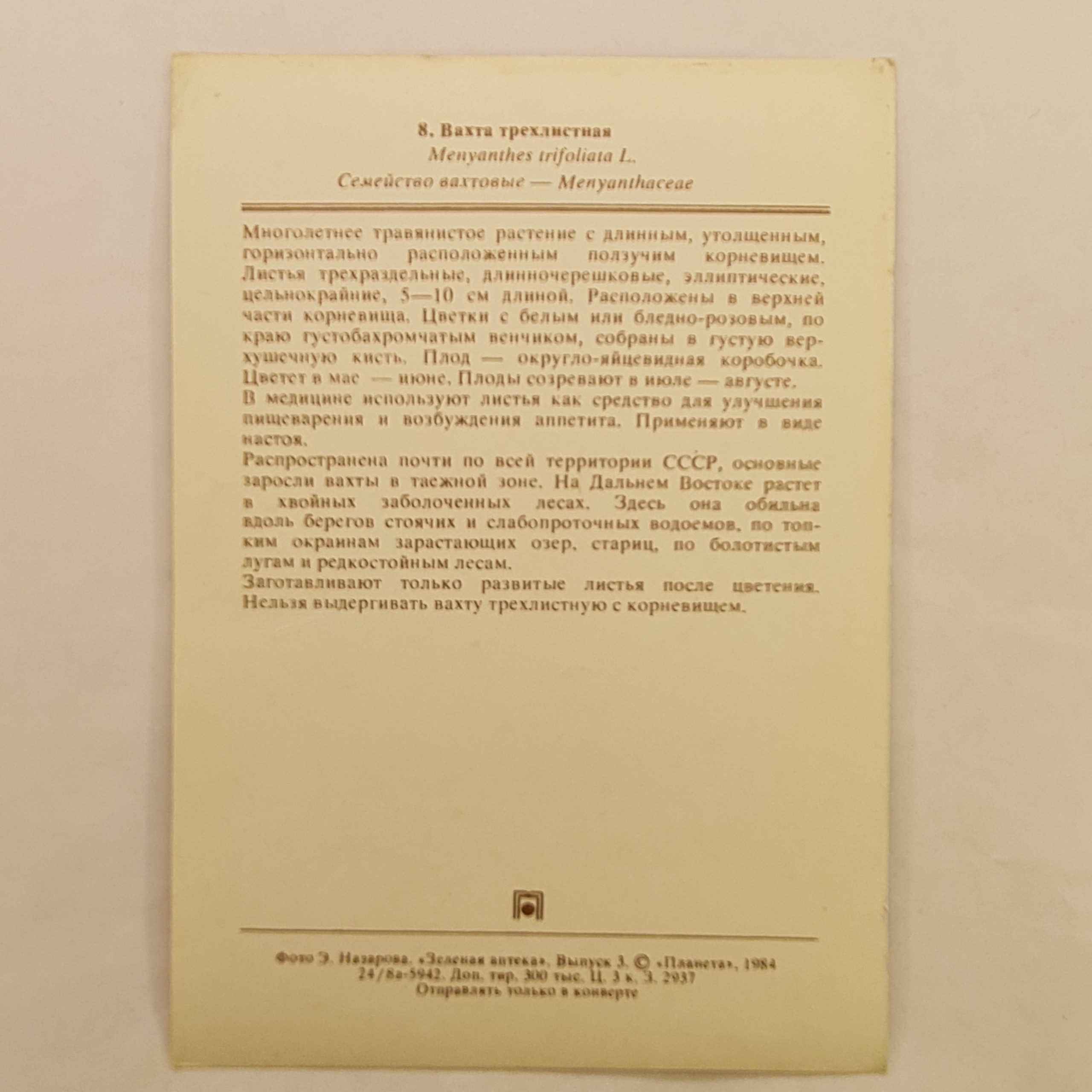 Картинка 2