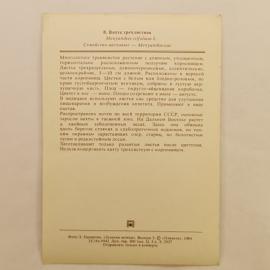Картинка 2