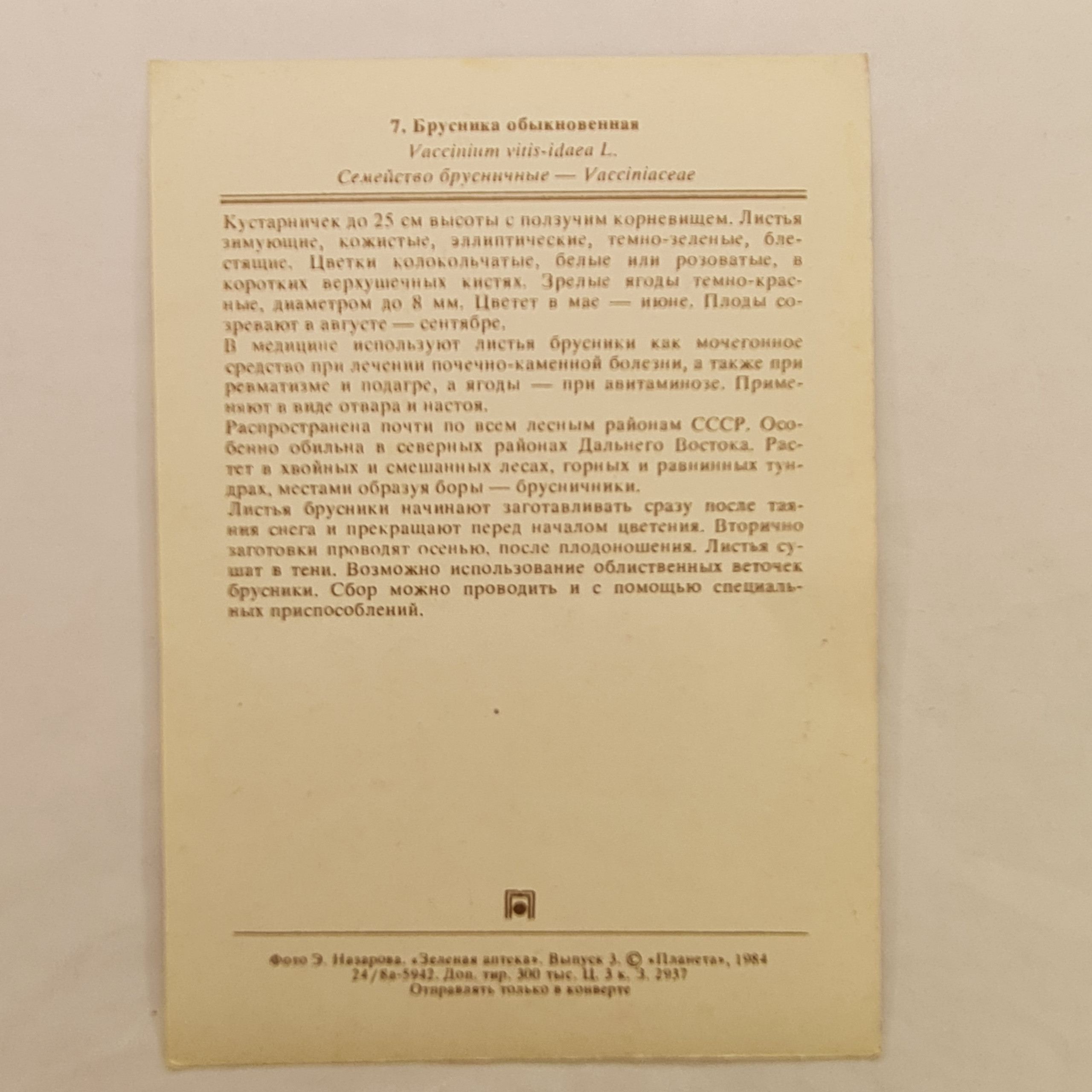 Картинка 2