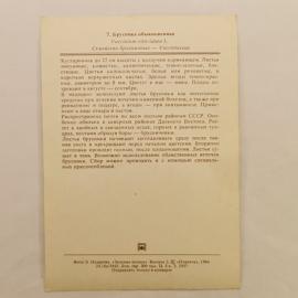 Картинка 2