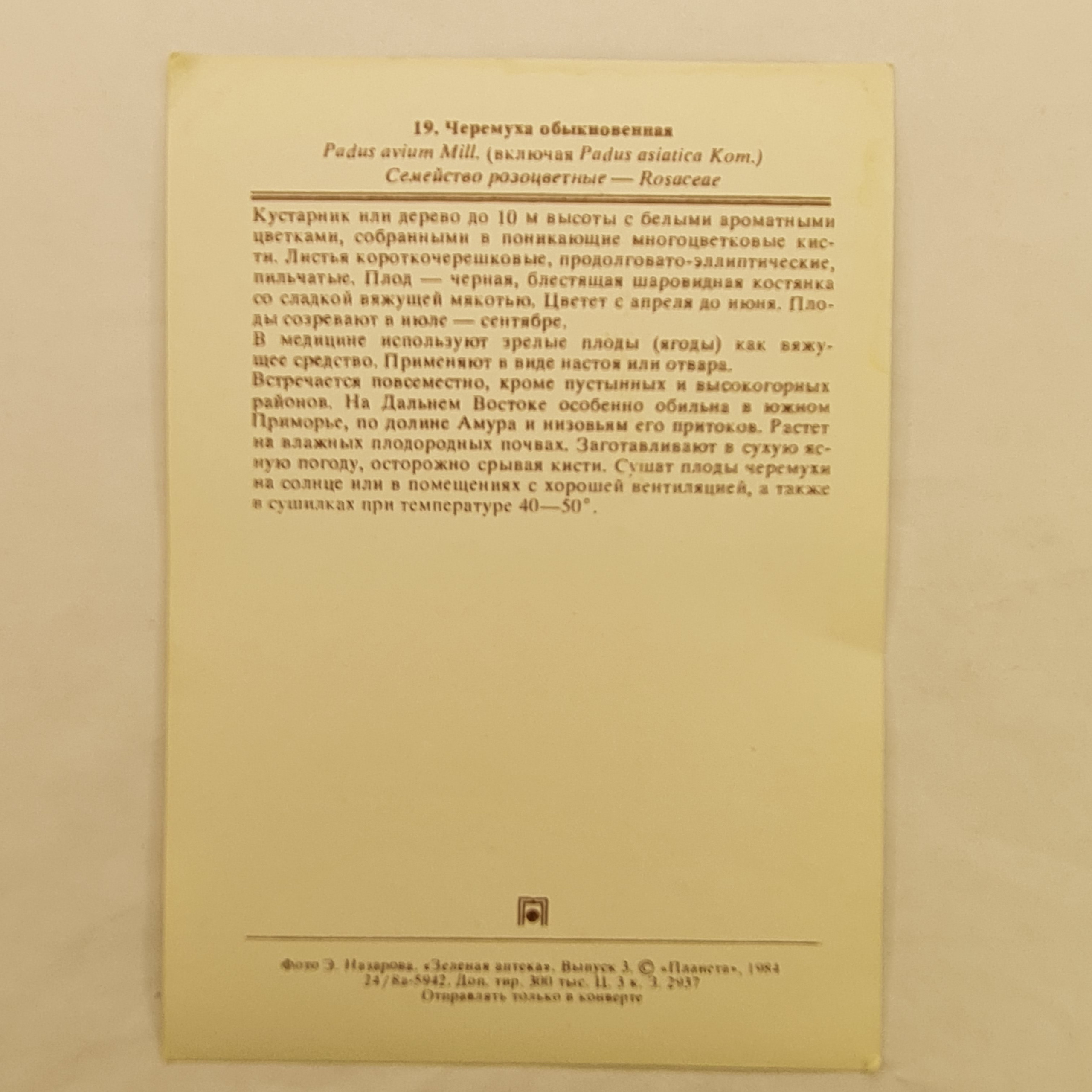 Картинка 2