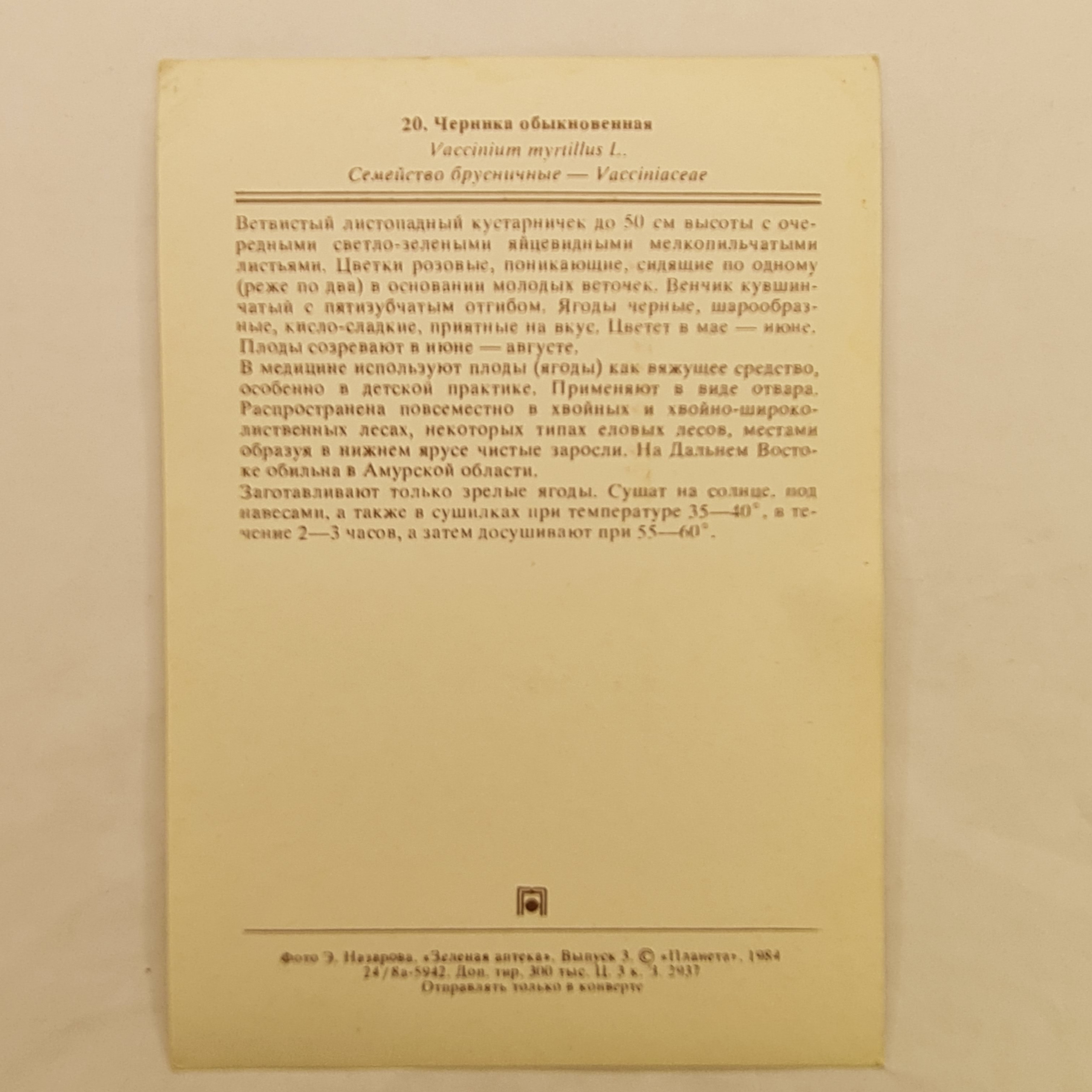 Картинка 2