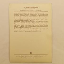 Картинка 2