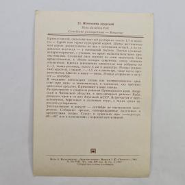 Картинка 2