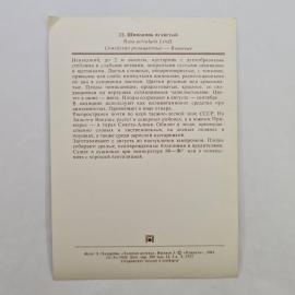 Картинка 2