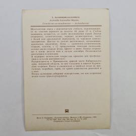 Картинка 2