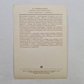 Картинка 2