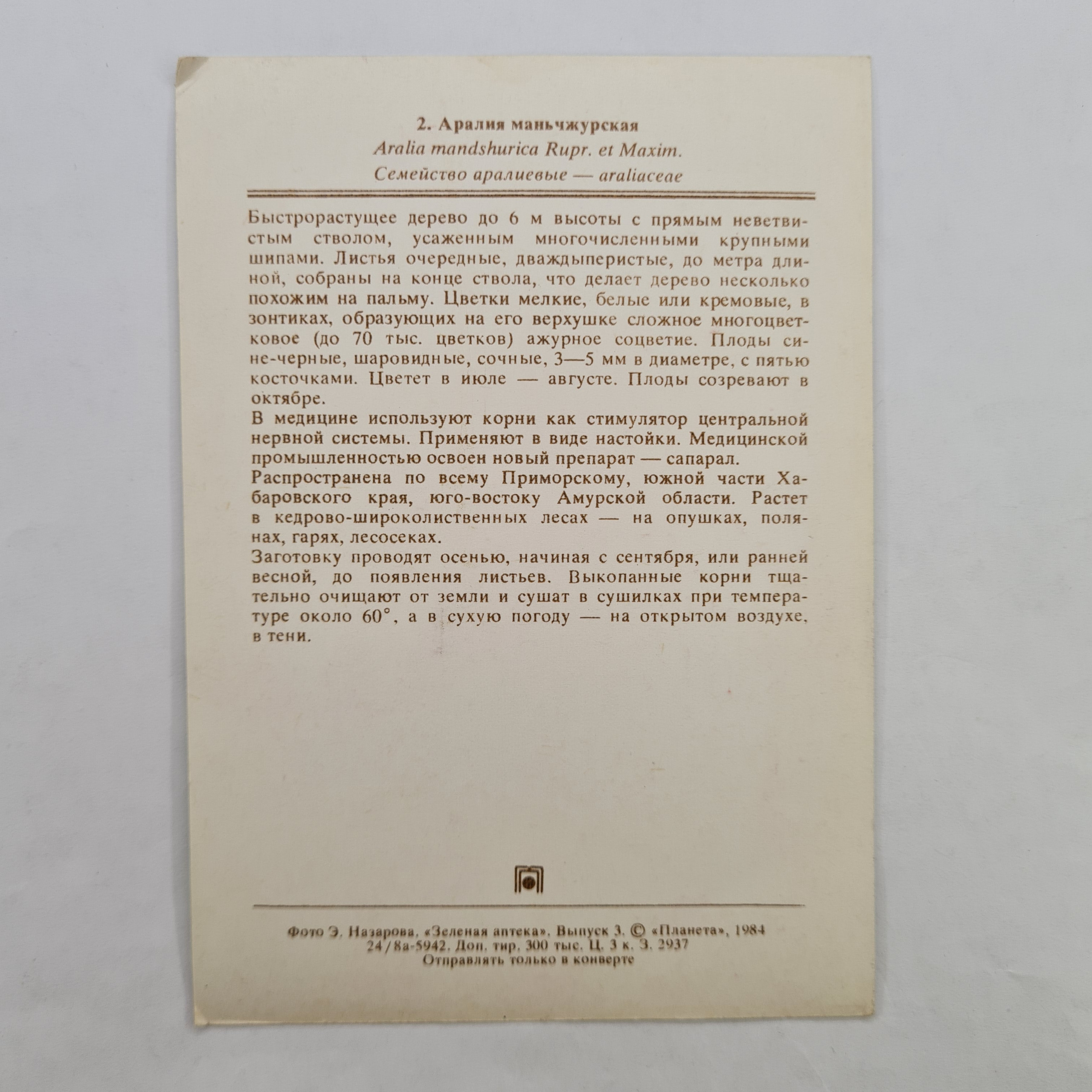 Картинка 2