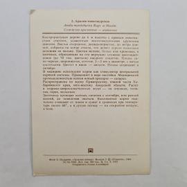 Картинка 2