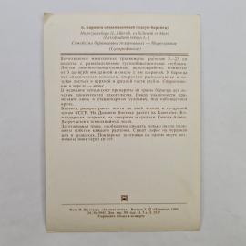 Картинка 2