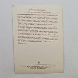 Картинка 2