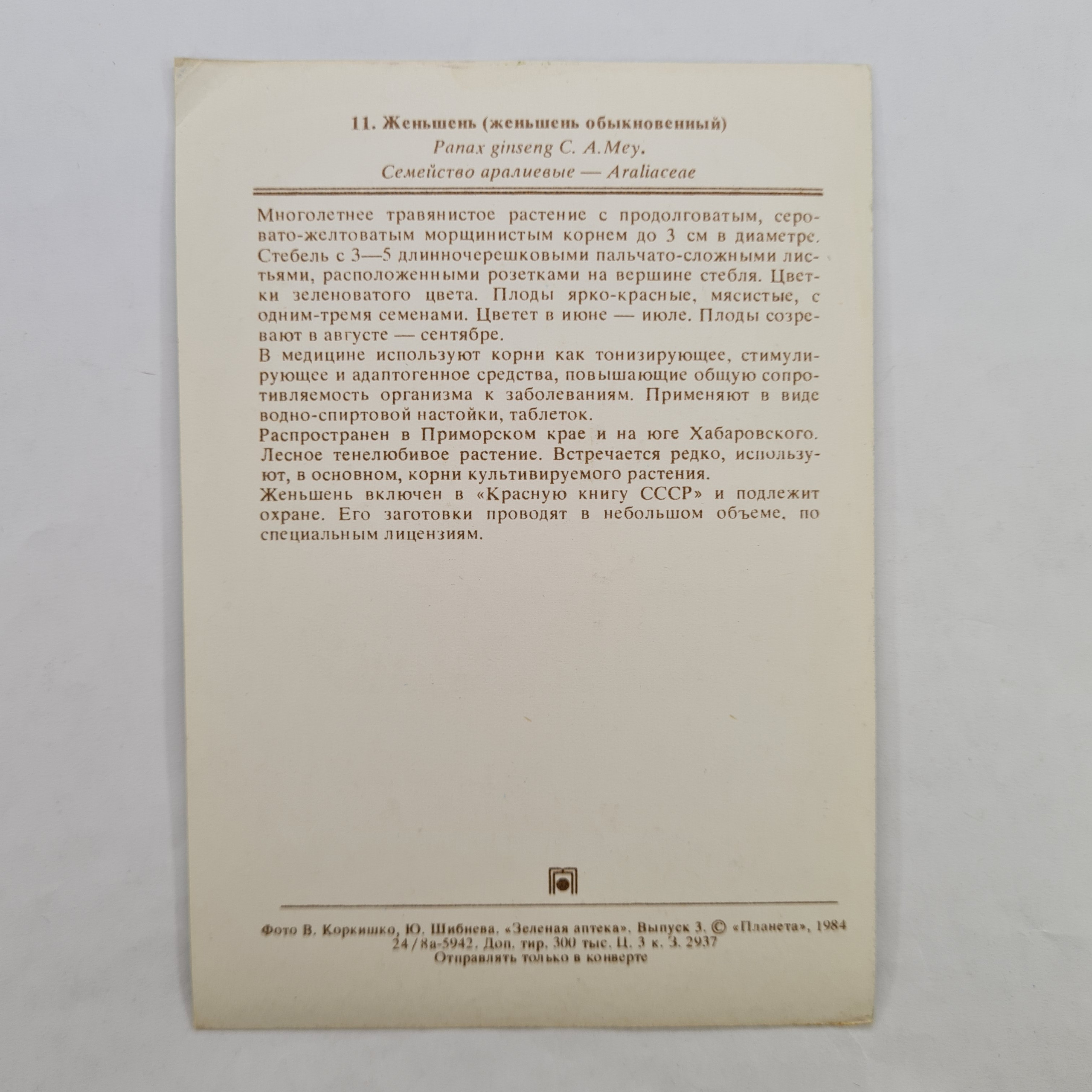 Картинка 2