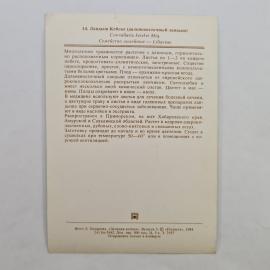 Картинка 2
