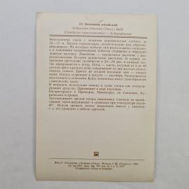 Картинка 2
