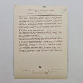 Картинка 2
