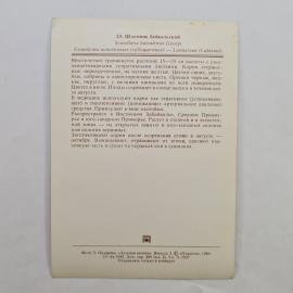 Картинка 2