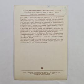 Картинка 2