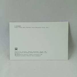 Картинка 2