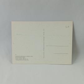 Картинка 2