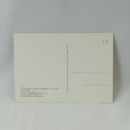 Картинка 2