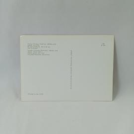 Картинка 2