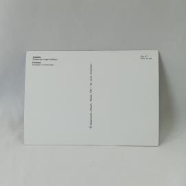 Картинка 2