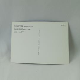 Картинка 2