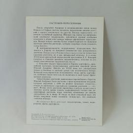 Картинка 2