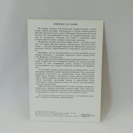 Картинка 2