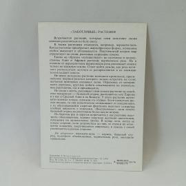 Картинка 2