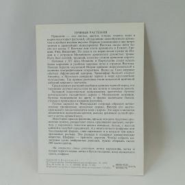 Картинка 2