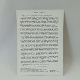 Картинка 2