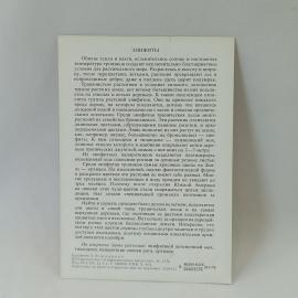 Картинка 2