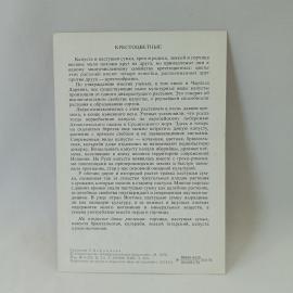 Картинка 2