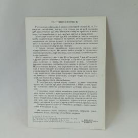 Картинка 2