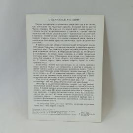 Картинка 2