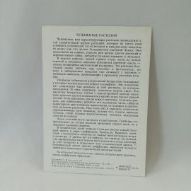 Картинка 2