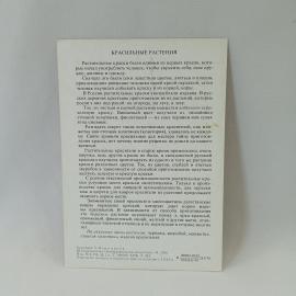 Картинка 2