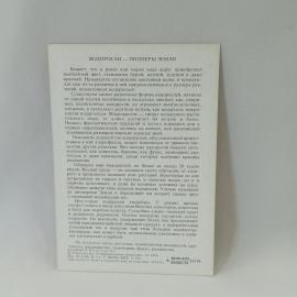 Картинка 2
