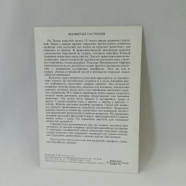 Картинка 2